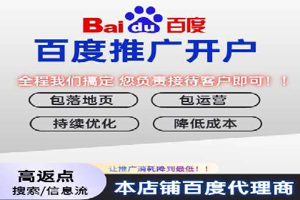 品牌信息流广告推广案例解析